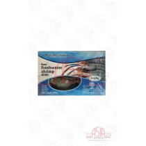 Frozen Scampi FRESH WATER  HOSO 4/6 Block 1KG x 10